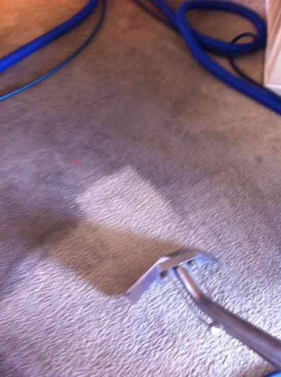 Carpet Cleaning $40.00 Special - 1